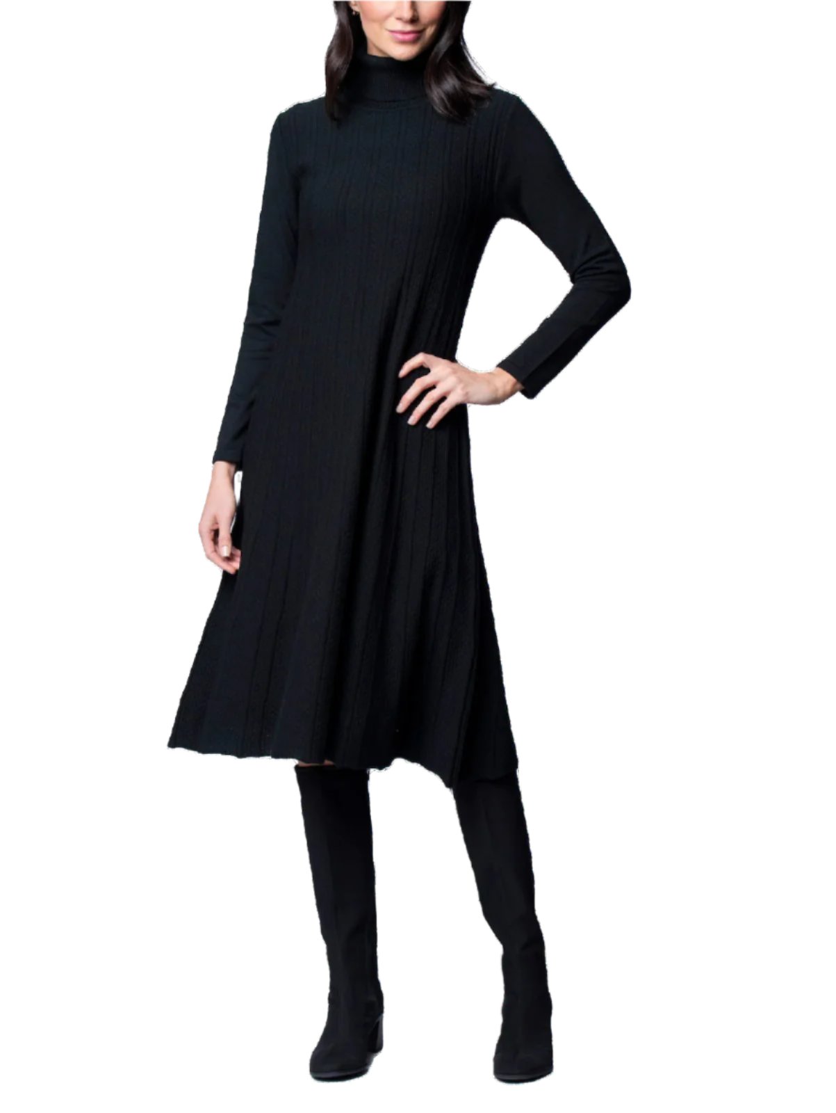 knee length dresses for ladies Haylee Midi Turtleneck Sweater Dress; Black